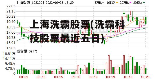 上海洗霸股票(洗霸科技股票最近五日)