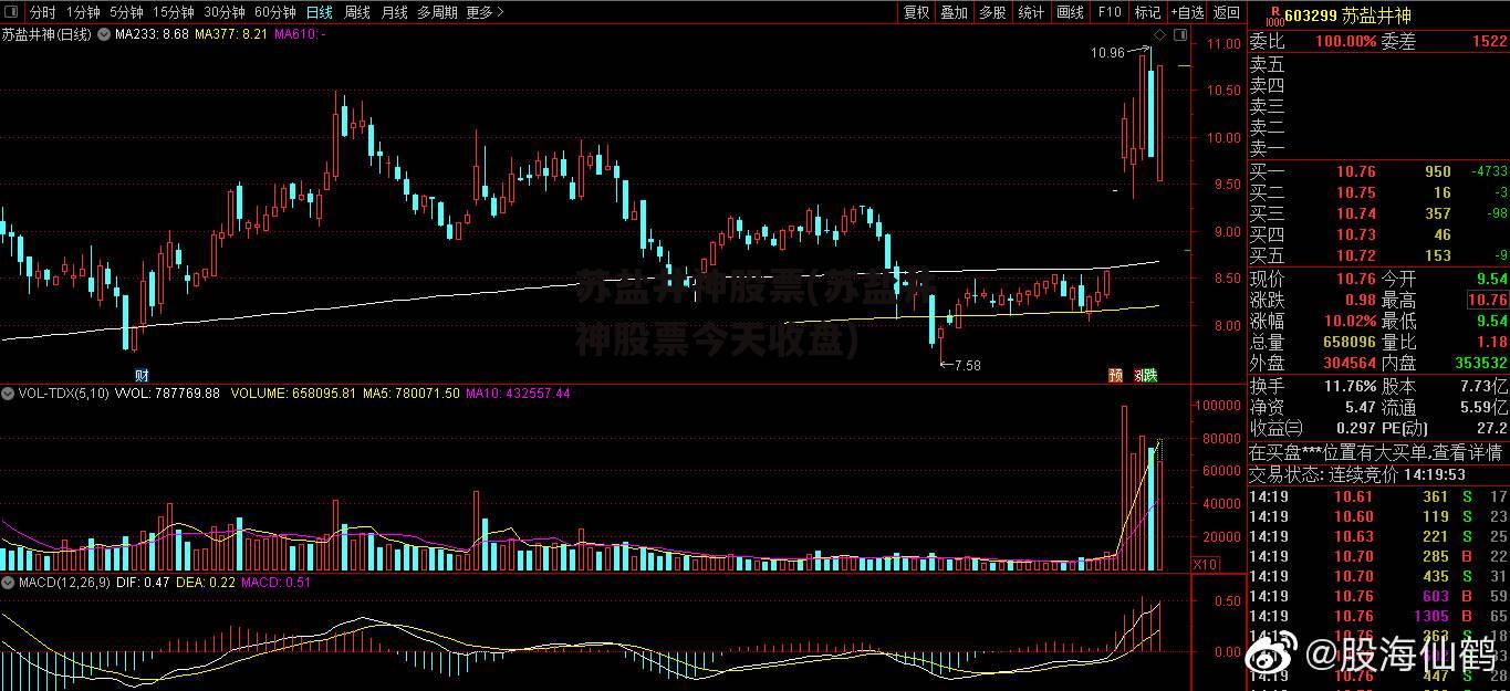 苏盐井神股票(苏盐井神股票今天收盘)