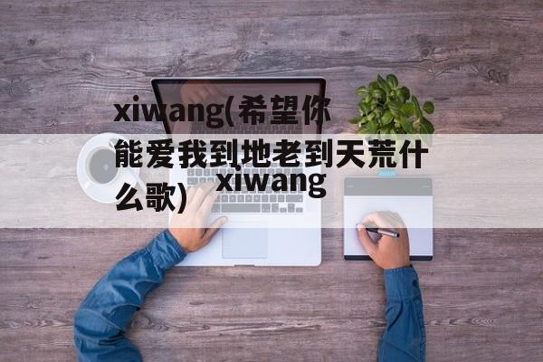 xiwang(希望你能爱我到地老到天荒什么歌)