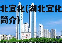 湖北宜化(湖北宜化公司简介)