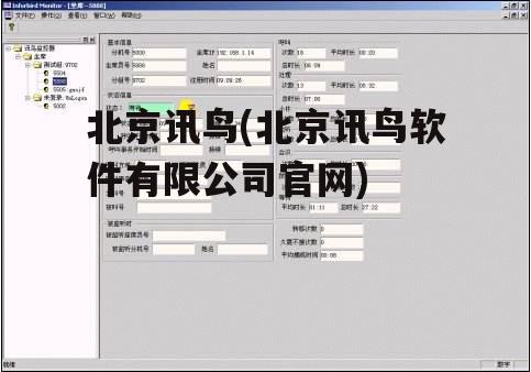 北京讯鸟(北京讯鸟软件有限公司官网)