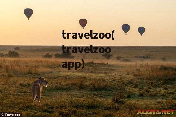 travelzoo(travelzoo app)