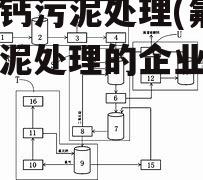 氟化钙污泥处理(氟化钙污泥处理的企业名录)