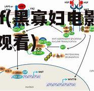 hgf(黑寡妇电影高清观看)