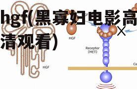 hgf(黑寡妇电影高清观看)