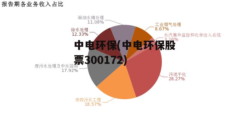 中电环保(中电环保股票300172)