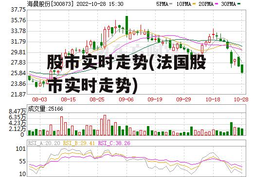 股市实时走势(法国股市实时走势)