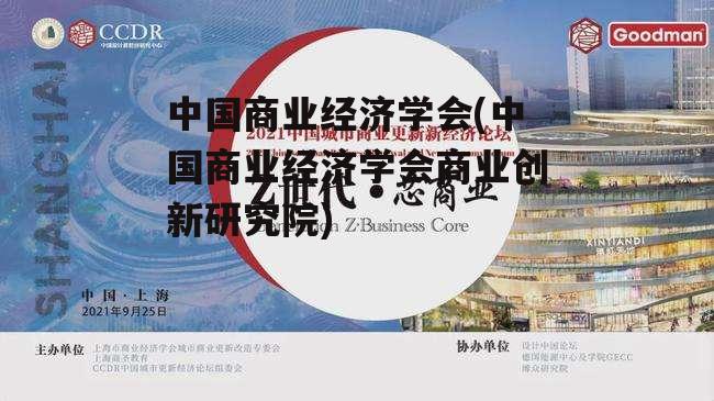 中国商业经济学会(中国商业经济学会商业创新研究院)