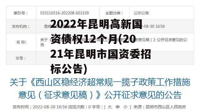 2022年昆明高新国资债权12个月(2021年昆明市国资委招标公告)