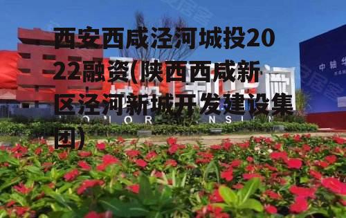 西安西咸泾河城投2022融资(陕西西咸新区泾河新城开发建设集团)