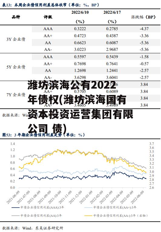 潍坊滨海公有2022年债权(潍坊滨海国有资本投资运营集团有限公司 债)