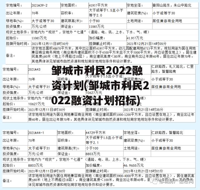 邹城市利民2022融资计划(邹城市利民2022融资计划招标)