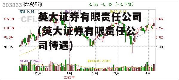 英大证券有限责任公司(英大证券有限责任公司待遇)