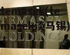 temasek(temasek淡马锡)