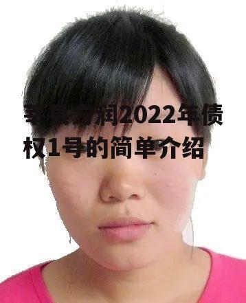 莘县方润2022年债权1号的简单介绍