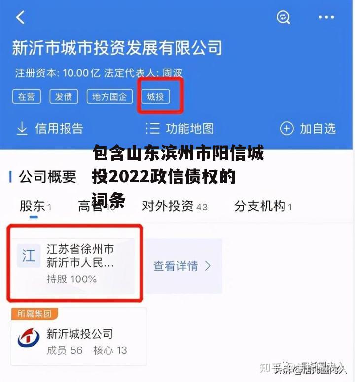 包含山东滨州市阳信城投2022政信债权的词条