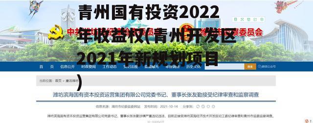 青州国有投资2022年收益权(青州开发区2021年新规划项目)