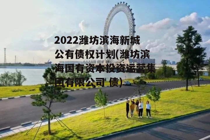 2022潍坊滨海新城公有债权计划(潍坊滨海国有资本投资运营集团有限公司 债)