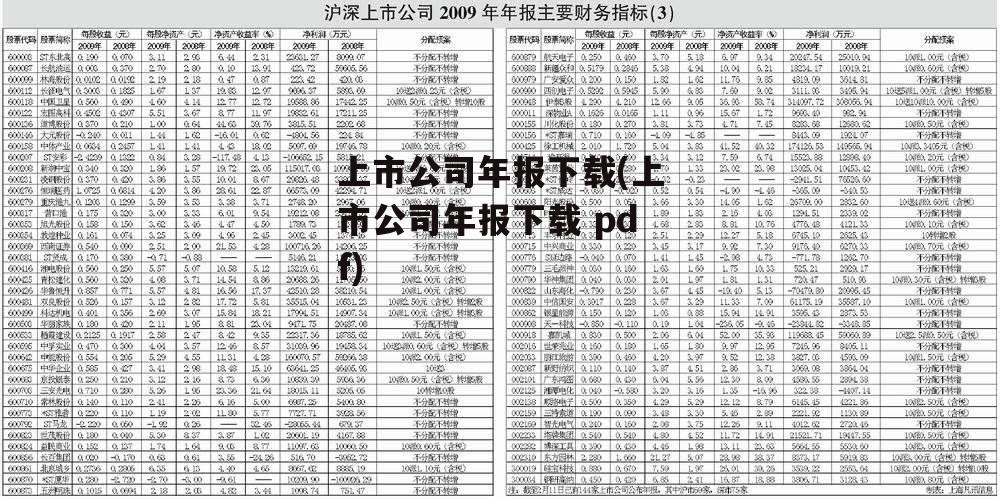 上市公司年报下载(上市公司年报下载 pdf)