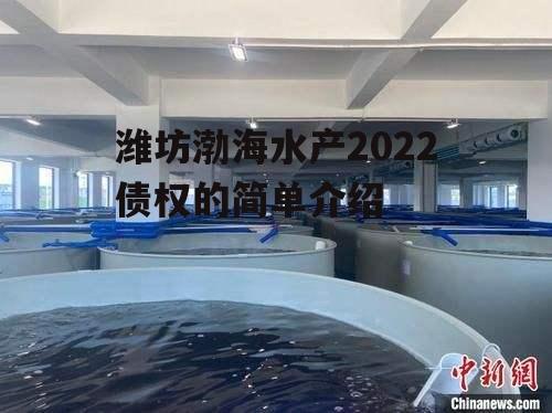 潍坊渤海水产2022债权的简单介绍