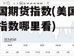 美国期货指数(美国期货指数哪里看)