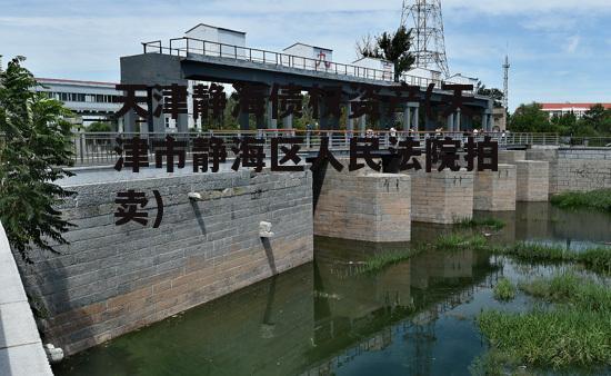 天津静海债权资产(天津市静海区人民法院拍卖)