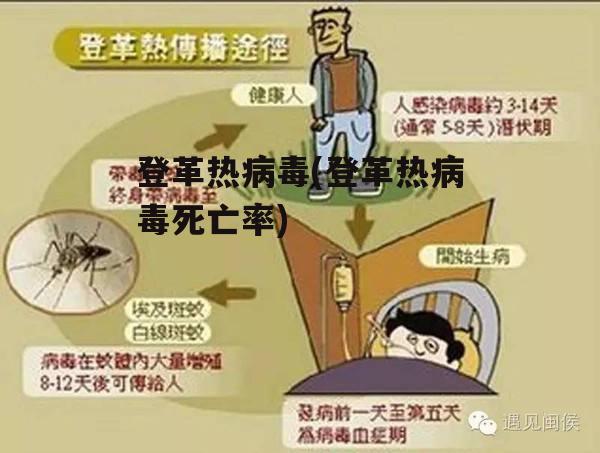 登革热病毒(登革热病毒死亡率)