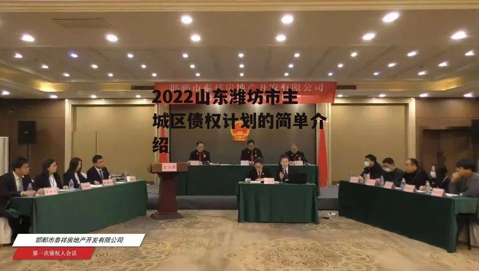 2022山东潍坊市主城区债权计划的简单介绍