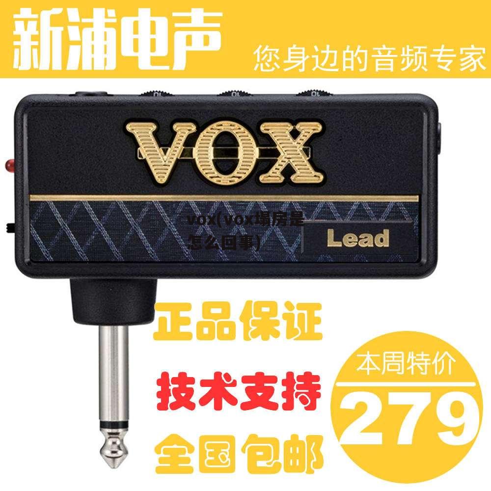 vox(vox塌房是怎么回事)