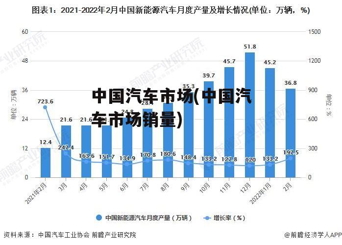 中国汽车市场(中国汽车市场销量)