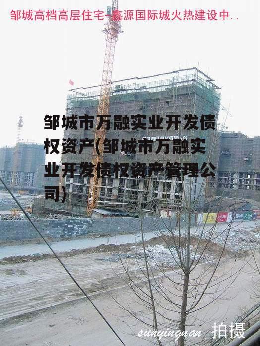 邹城市万融实业开发债权资产(邹城市万融实业开发债权资产管理公司)