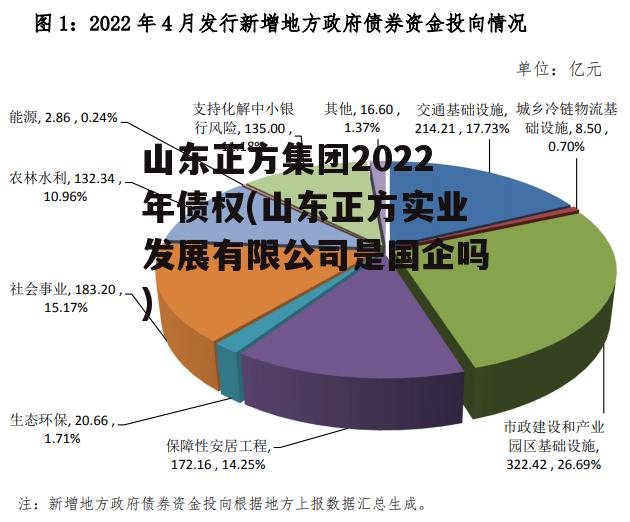 山东正方集团2022年债权(山东正方实业发展有限公司是国企吗)