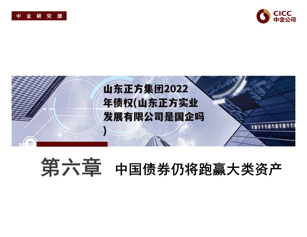 山东正方集团2022年债权(山东正方实业发展有限公司是国企吗)