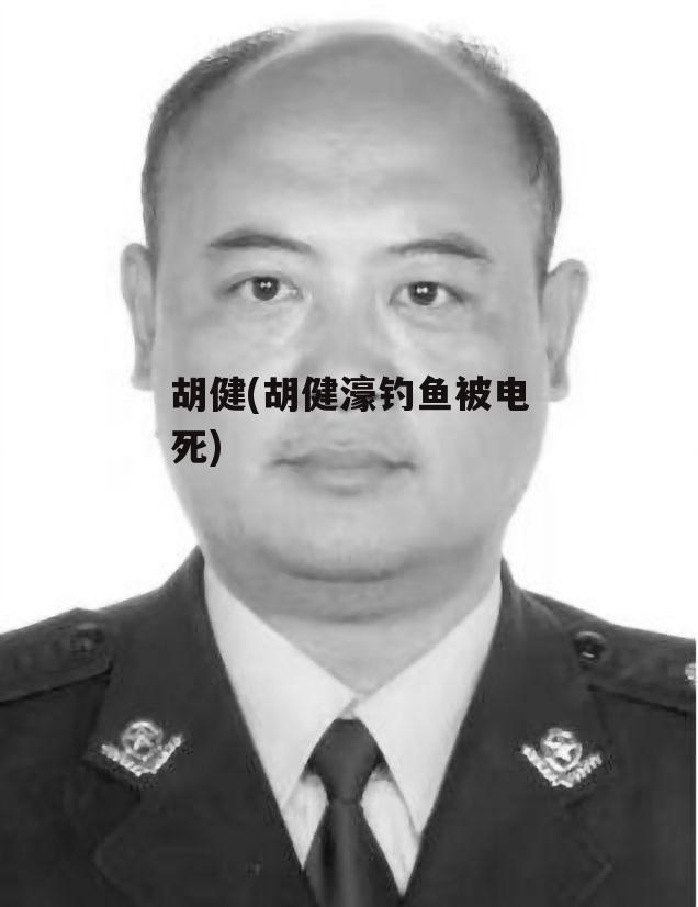 胡健(胡健濠钓鱼被电死)