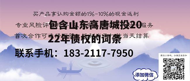 包含山东高唐城投2022年债权的词条