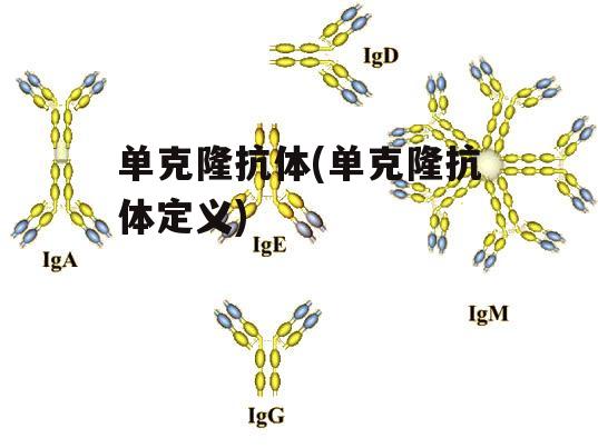 单克隆抗体(单克隆抗体定义)