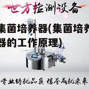 集菌培养器(集菌培养器的工作原理)