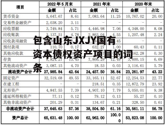 包含山东JXJY国有资本债权资产项目的词条