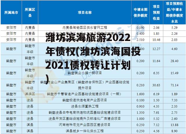 潍坊滨海旅游2022年债权(潍坊滨海国投2021债权转让计划)