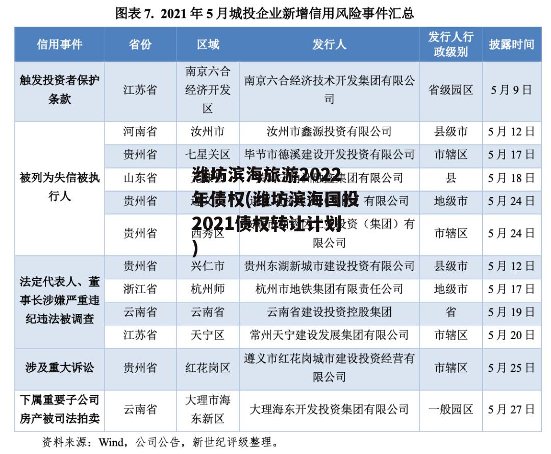 潍坊滨海旅游2022年债权(潍坊滨海国投2021债权转让计划)