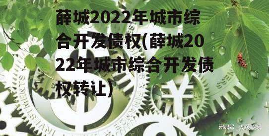 薛城2022年城市综合开发债权(薛城2022年城市综合开发债权转让)