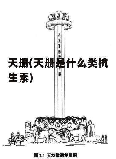 天册(天册是什么类抗生素)