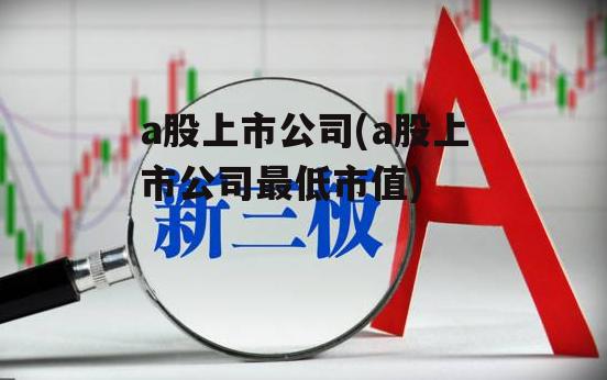 a股上市公司(a股上市公司最低市值)