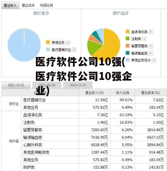 医疗软件公司10强(医疗软件公司10强企业)