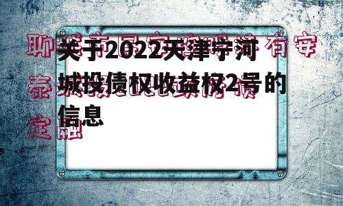 关于2022天津宁河城投债权收益权2号的信息