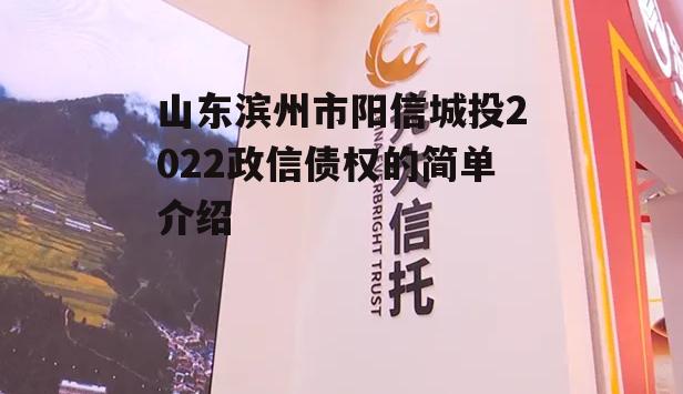 山东滨州市阳信城投2022政信债权的简单介绍