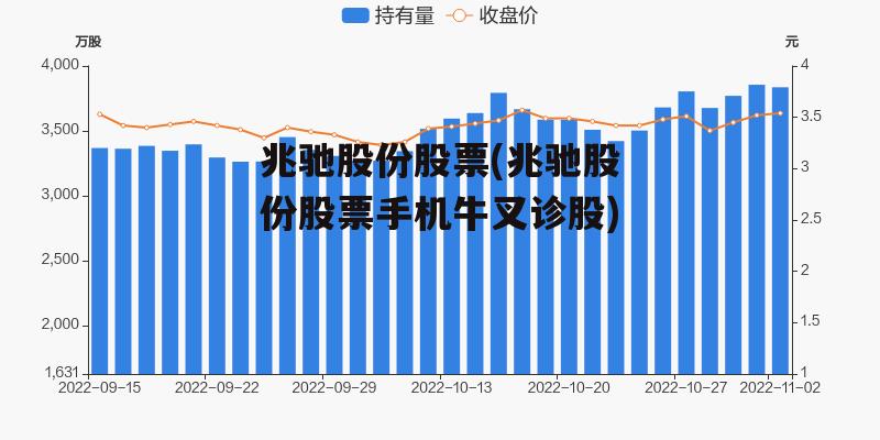 兆驰股份股票(兆驰股份股票手机牛叉诊股)