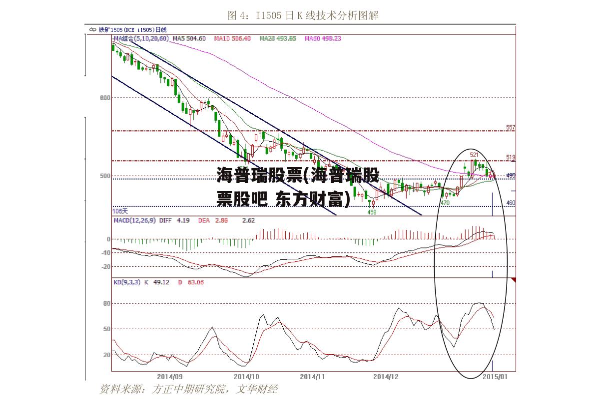 海普瑞股票(海普瑞股票股吧 东方财富)