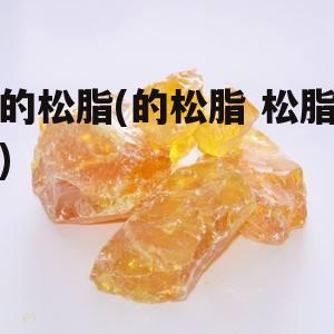 的松脂(的松脂 松脂)