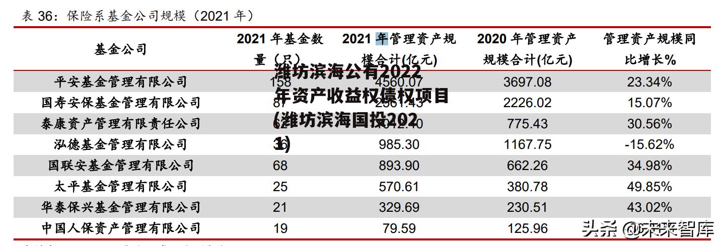 潍坊滨海公有2022年资产收益权债权项目(潍坊滨海国投2021)